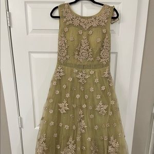 Light green Indian gown